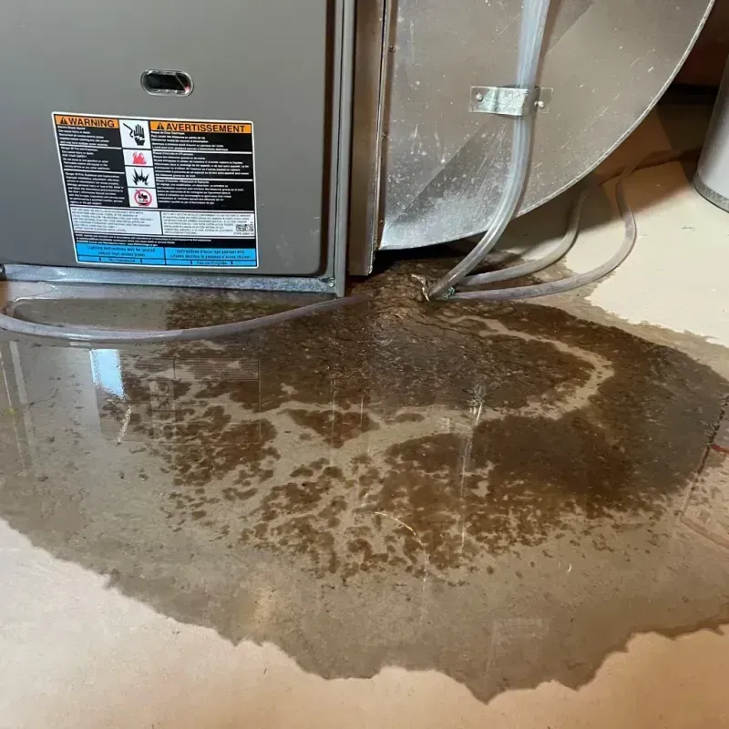 Appliance Leak Cleanup in Oneida County, ID